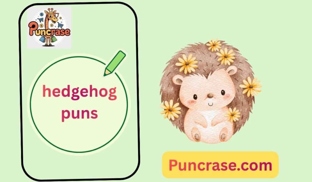 hedgehog puns