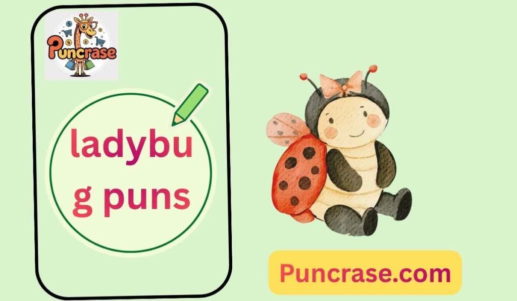 ladybug puns