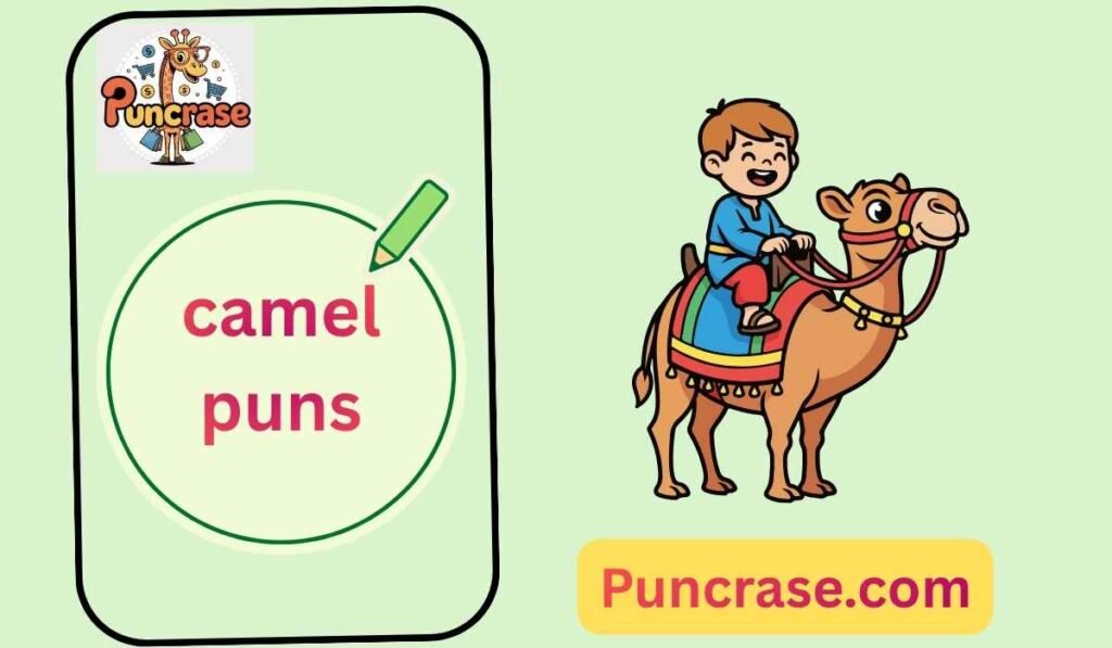 camel puns