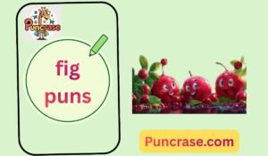 fig puns