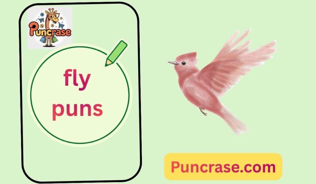 fly puns