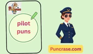 pilot puns